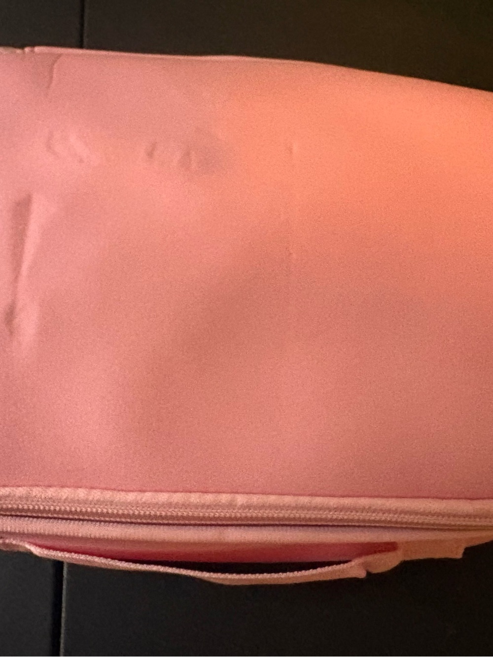 Pink Pony Bento Box
